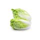 Chinese Lettuce